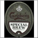 carlsberg0261_t.jpg