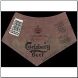 carlsberg0707_t.jpg