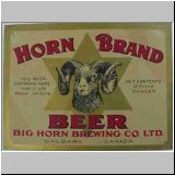bighorn08.jpg