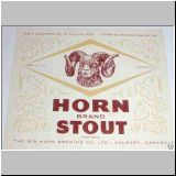bighorn13.jpg