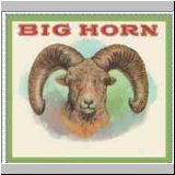 bighorn14.jpg