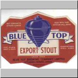 bluetop04.jpg