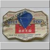 bluetop05.jpg