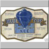 bluetop07.jpg
