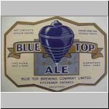bluetop08.jpg