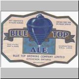 bluetop11.jpg