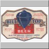 bluetop15.jpg