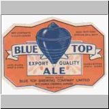 bluetop17.jpg