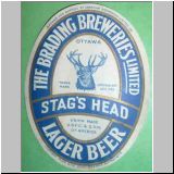 brading35.jpg
