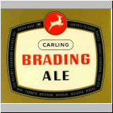 carling173.jpg