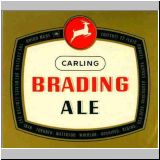 carling174.jpg