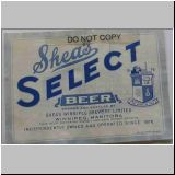 sheas38.jpg