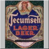 tecumseh03.jpg