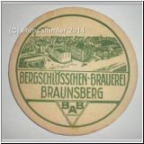 braunsberg01.jpg