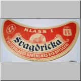 strengnasnyas03.jpg