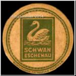 eschenauschwan02.jpg