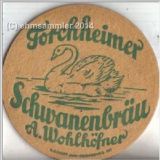 forchheimschwan03.jpg