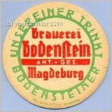 magdeburgbodenstein13.jpg