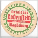 magdeburgbodenstein14.jpg
