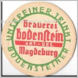 magdeburgbodenstein14.jpg