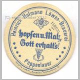 massbachpoppenlauer05.jpg