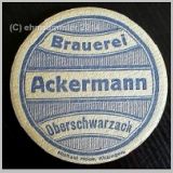oberschwarzach01.jpg