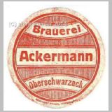 oberschwarzach02.jpg