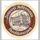 oberschwarzach06.jpg