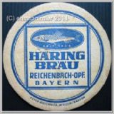 reichenbachhaering03.jpg