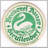 strullendorfschwan04.jpg