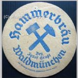 waldmunchenhammer08.jpg