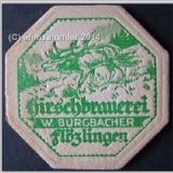 zimmernflozlingen06.jpg